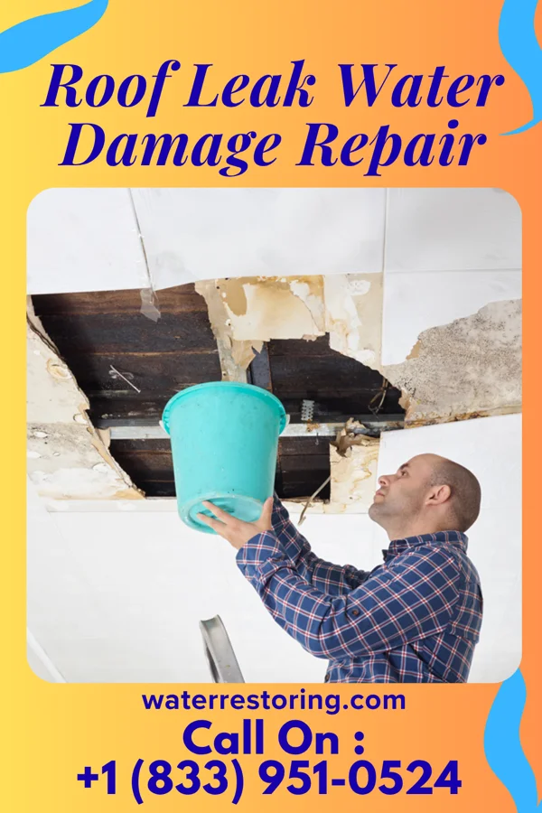 Roof Leak Water Damage Repair in Thorntonville, TX
