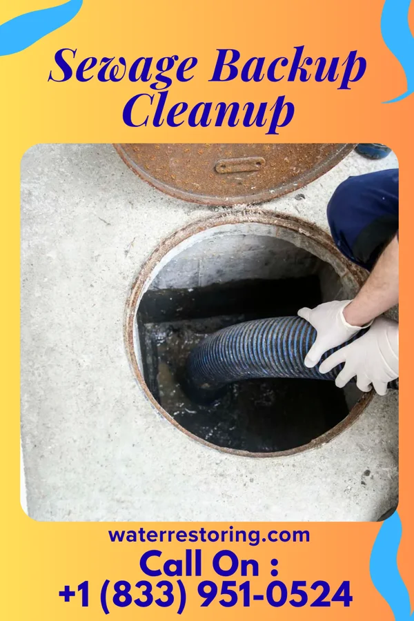 Sewage Backup Cleanup in Thorntonville, TX