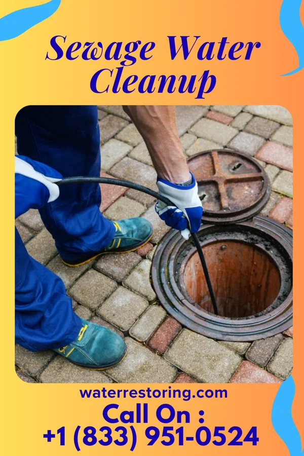 Sewage Water Cleanup in Thorntonville, TX